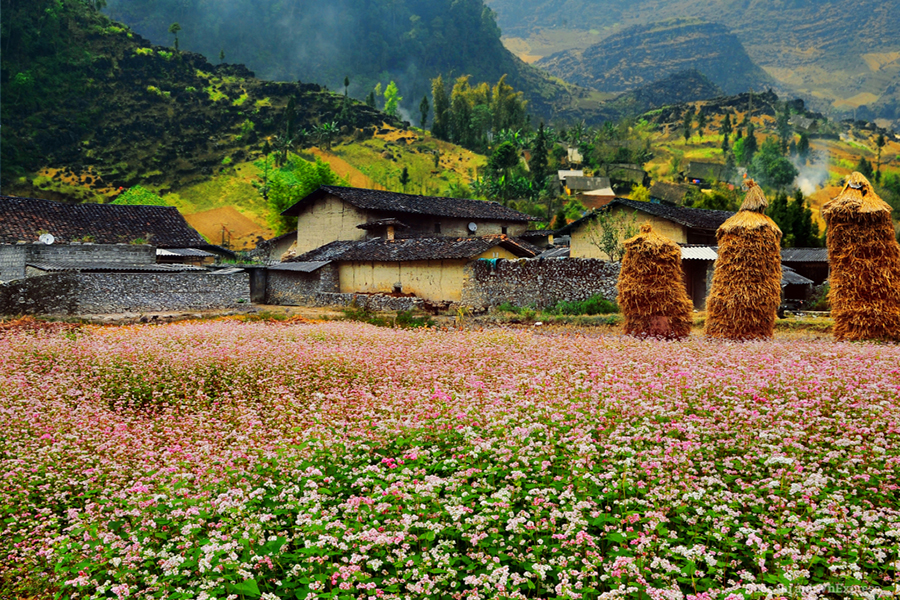 Best time to Ha Giang