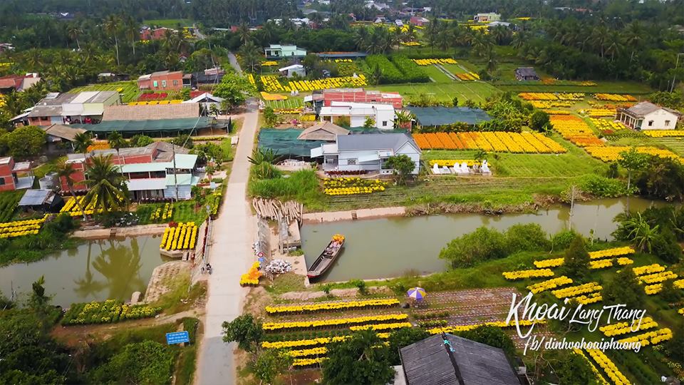 Toàn cảnh làng hoa Cái Mơn sắc màu ngày dịp Tết. Ảnh Khoai Lang Thang