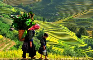 Sapa là mảnh đất Tây Bắc gây thương nhớ cho bất kỳ du khách nào đã từng ghé thăm. Ảnh Internet Sapa là mảnh đất Tây Bắc gây thương nhớ cho bất kỳ du khách nào đã từng ghé thăm. Ảnh Internet